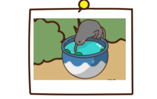 猫咪田园水缸猫小果图鉴怎么收集
