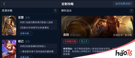 王者荣耀定制攻略怎么用？