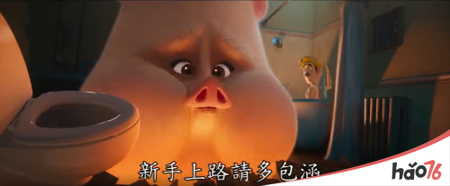 电影《DC萌宠特遣队》发布新中字正式预告：我们都有超能力！