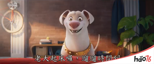 电影《DC萌宠特遣队》发布新中字正式预告：我们都有超能力！