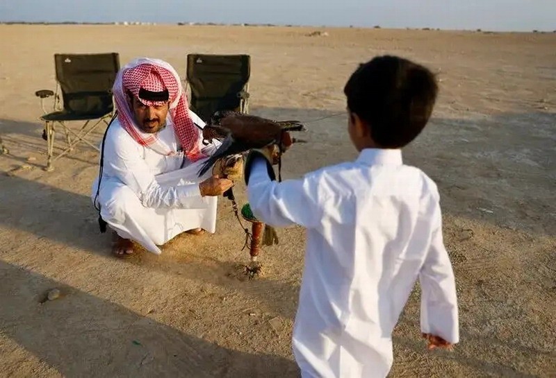 卡塔尔家长教育方式：鼓励孩子训鹰比玩电子游戏好