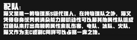 绝区零猫宫又奈怎么配队
