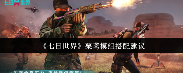 七日世界栗鸢带什么模组好