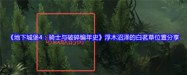 地下城堡4浮木沼泽的白茗草在哪里