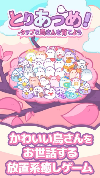 小鸟收集！点一点养育小鸟怎么下载