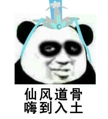 不睡觉修仙表情包